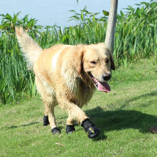 

8-pack pet dog waterproof rain shoes snow boots with rugged sole s & m