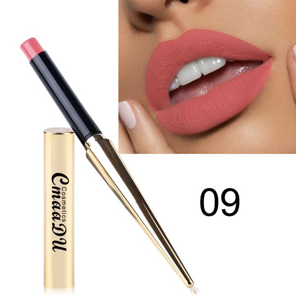 

2019 new waterproof nude matte velvet glossy lip gloss lipstick lip red tint 12 colors women fashion makeup gift