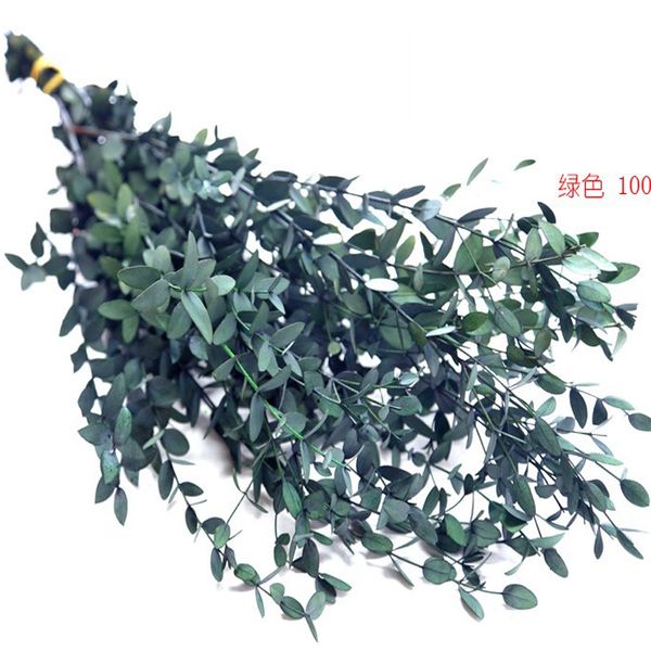 

200g/30-45cm nature preserved fine leaf eucalyptus ,diy eternell flower floral plant, wedding favor home decor ,eternelle rose