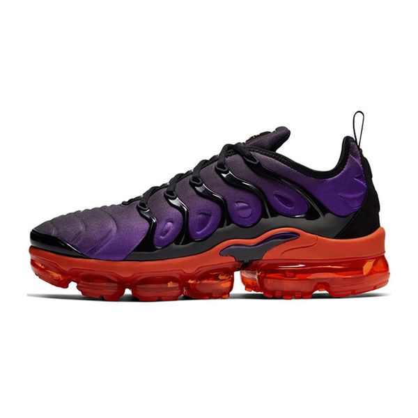 purple and blue tns