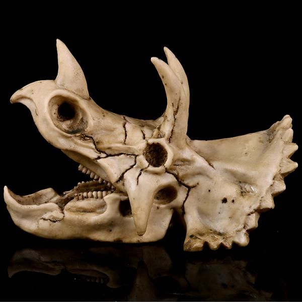 

dinosaur tricera skull replica bone skeleton aquarium decorative craft