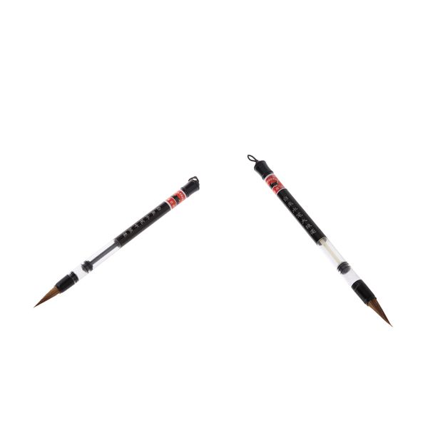 

chinese calligraphy / watercolor / kanji / sumi drawing brush beginner level