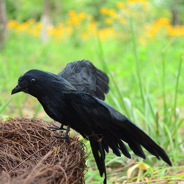 

asypets spreading wings realistic crows props perfect halloween scene decoration-30