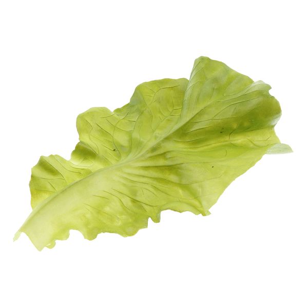 

поддельные искусственные салаты моделирование пластиковый реалистичный для дома кухни партии pub украшение кабинет орнамента