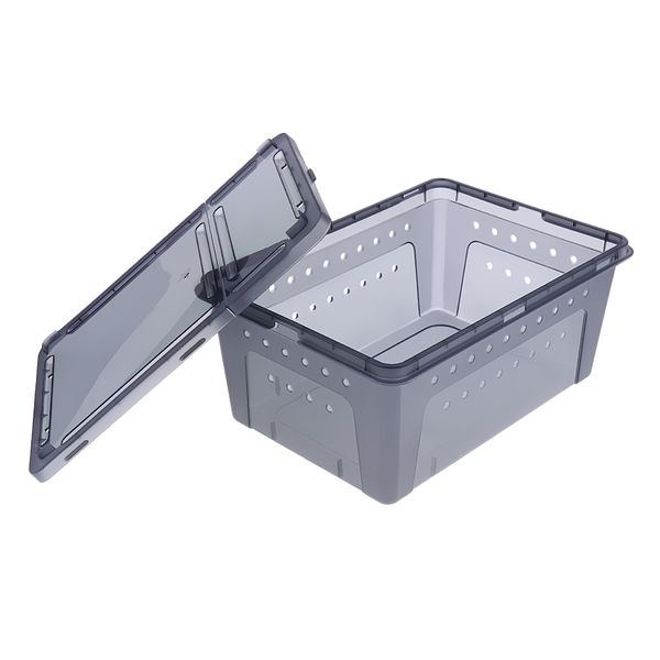 

plastic insect reptile lizard transport breeding hatching box case