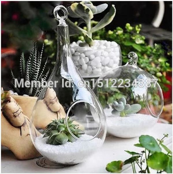 

hanging flower hair moss meaty plant vase micro landscape bottles zakka originality