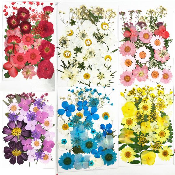 

decorative flowers & wreaths pressed small dried scrapbooking dry diy preserved flower decoration home mini bloemen flores secas