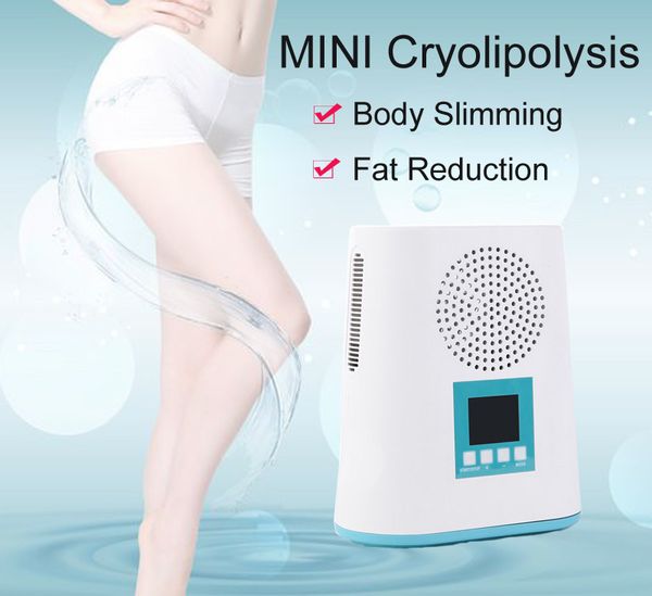 Melhor MINI cryolipolysis vácuo congelamento de gordura da pele levantamento corpo de emagrecimento Equipamento uso salon spa gratuito Shiping