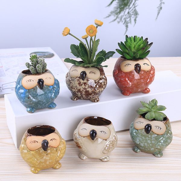 Cute Owl Multi Flower Pots Suit Exquisite Small Home Decor