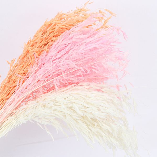 

natural dried fresh flower bundle preserved flower diy wedding background wall wheat decoration