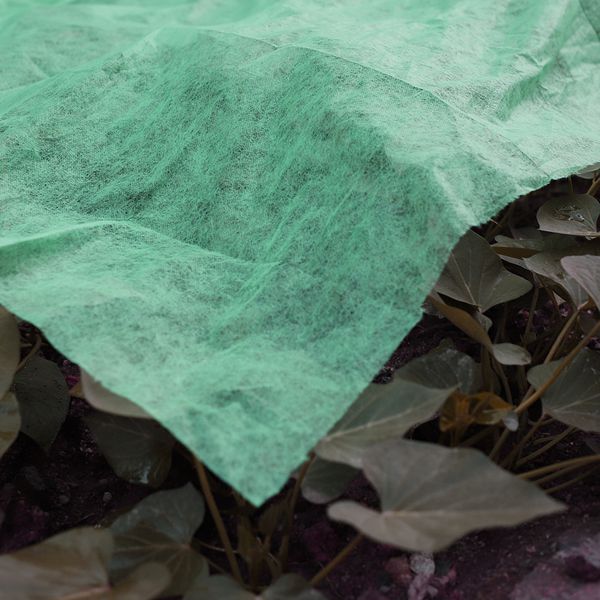 

110cm e protection cover winter agriculture greenhouse film thickened film garden plant cover film keep warm rainproof