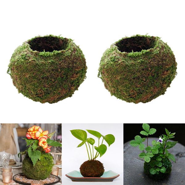 

3pcs creative decor gift moss ball moss flower pot indoor outdoor landscape
