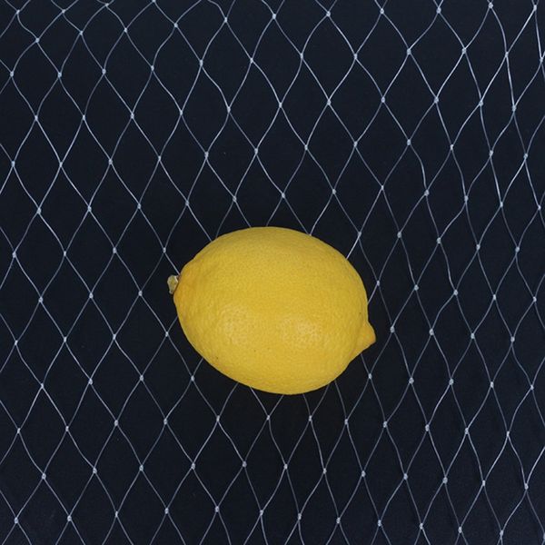 

anti-bird net protection fruit tree vegetables flower cover garden net protect plants high quality