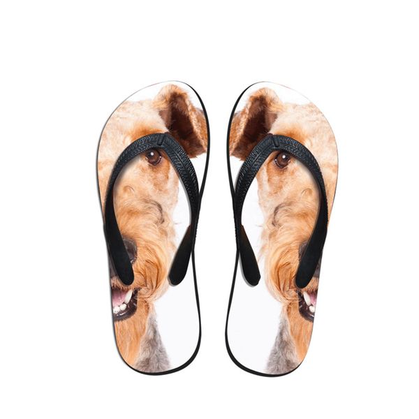 

2019 summer beach new flip flops airedale terrier creative print fashion casual for women girls slippers sandals flats shoes, Black