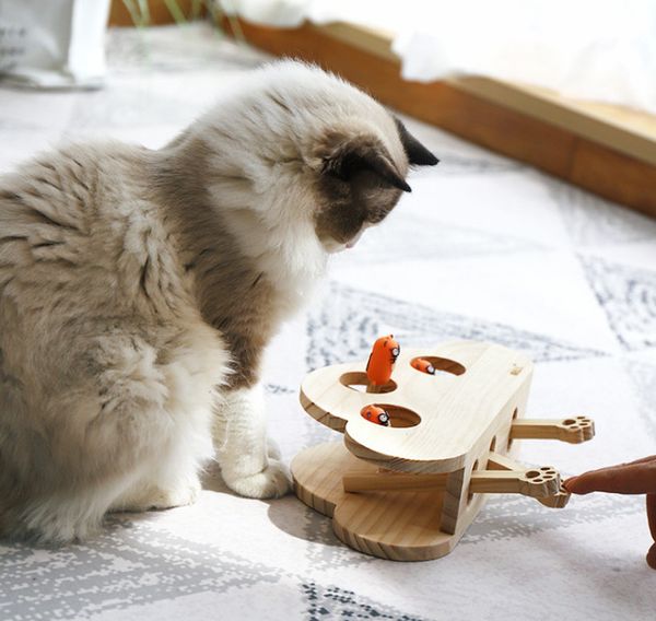 Последние твердые деревянные игрушки для домашних животных головоломка интерактивная дразнить кошка игрушки хомяк дразнить кошка палка кошачьи принадлежности