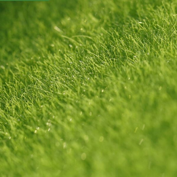 

4pcs artificial garden grass lawn moss miniature craft diy fairy dollhouse decor