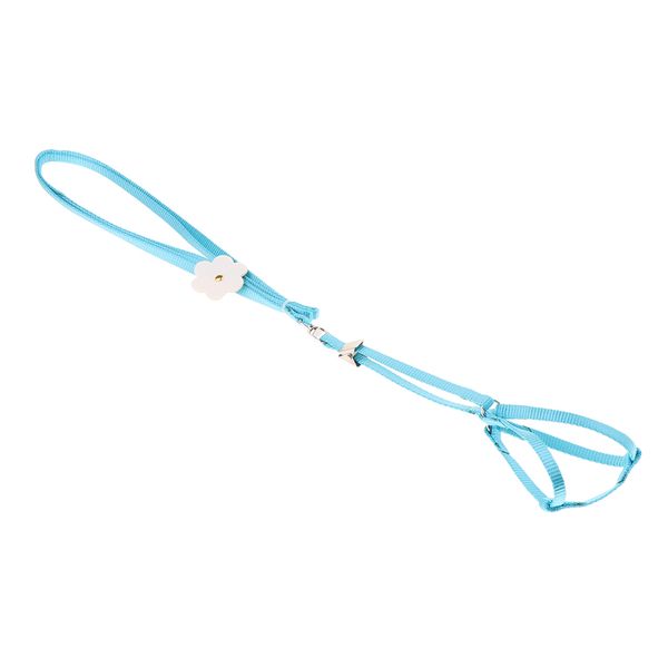 

parrot bird harness adjustable leash light soft pet lead rope strong anti-bite bird harness lightweight parrot bird leash