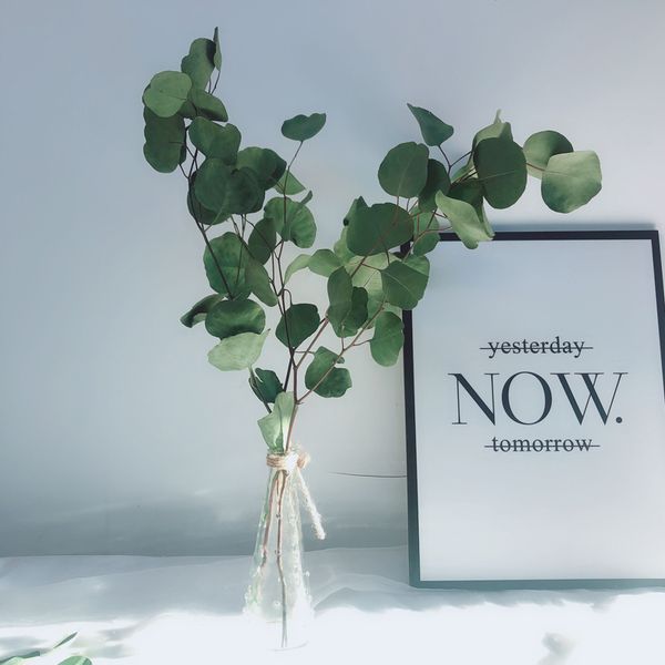 

round leaf eucalyptus vein pattern immortal flower high class greenery bouquet selected with leaf literary flower arrangement