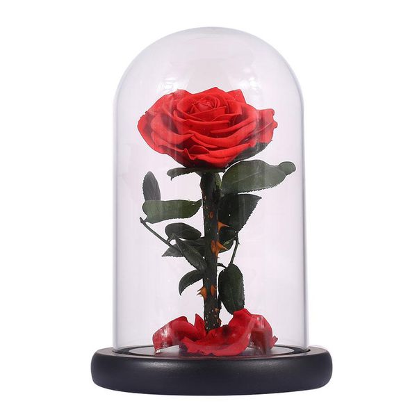 

glass cover fresh preserved rose flower barbed rose flores for wedding marriage home party decoration valentine's day gift