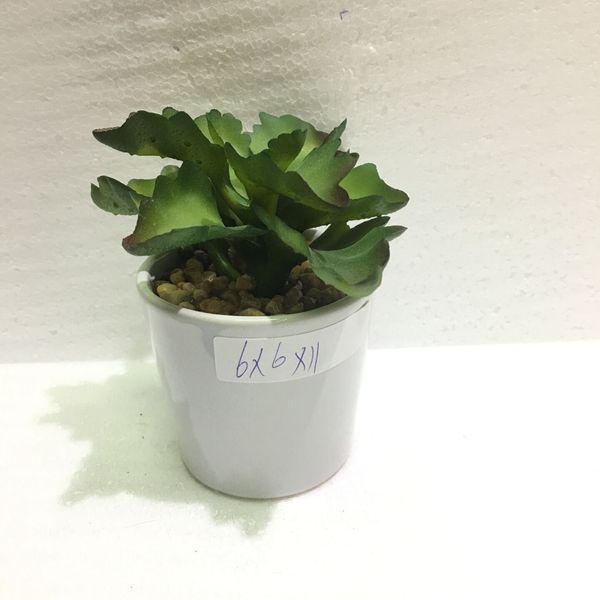 2019 Artificial Succulents Fake Plants Plastic Aloe Lifelike