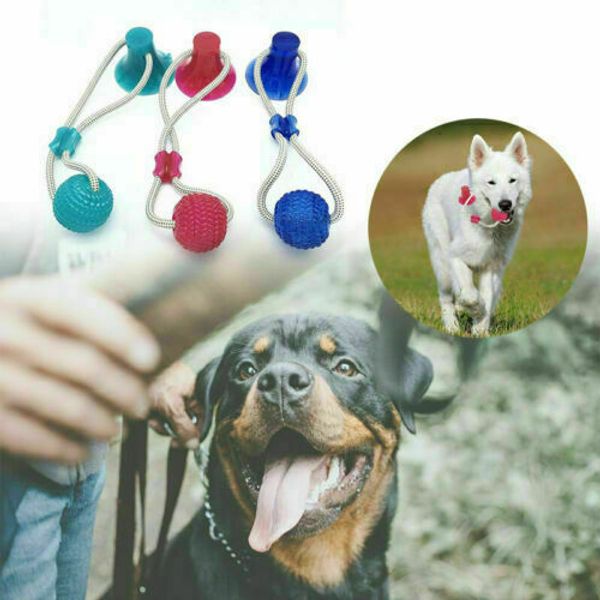 

Pet Self-playing Rubber Ball Toy With Suction Cup Multifunction Pet Puppy Molar Bite Toy pet dog Toys Interactive Molar-Chew Toy