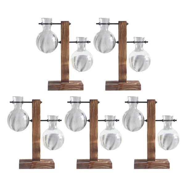 

5 pieces vintage plant hydroponics terrarium vase for deskdecorations - 2 bulbs