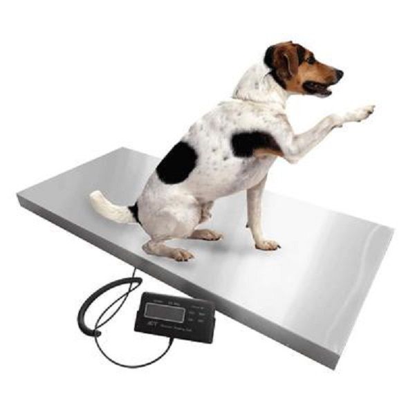 

large counterdouble range postal scale postal packet scale, pet scale, express logistics scale