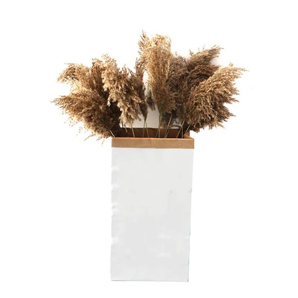 

20pcs wedding flower bunch pampas grass dried reed plants natural phragmites communis