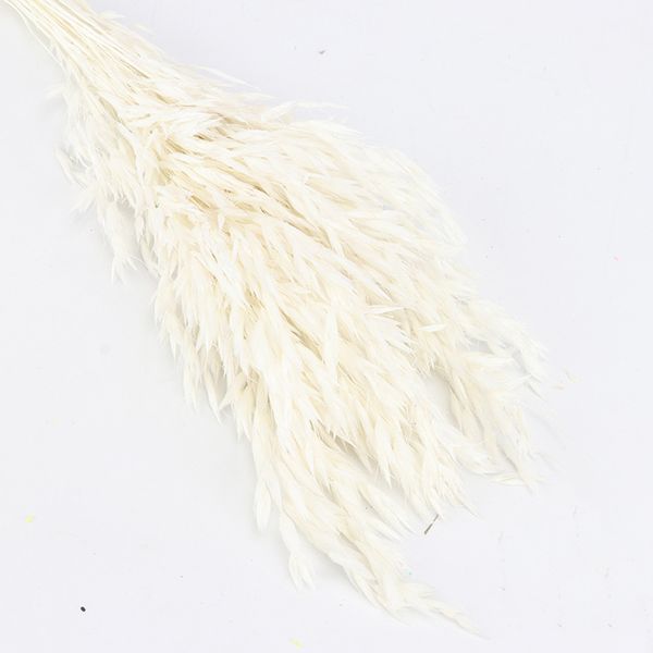 

natural dried fresh flower bundle preserved flower diy wedding background wall wheat p pgraphy props