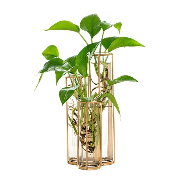 

2019 modern tube glass vase bottle for flower plant diy home decoration terrarium hydroponic green plant container glass vase