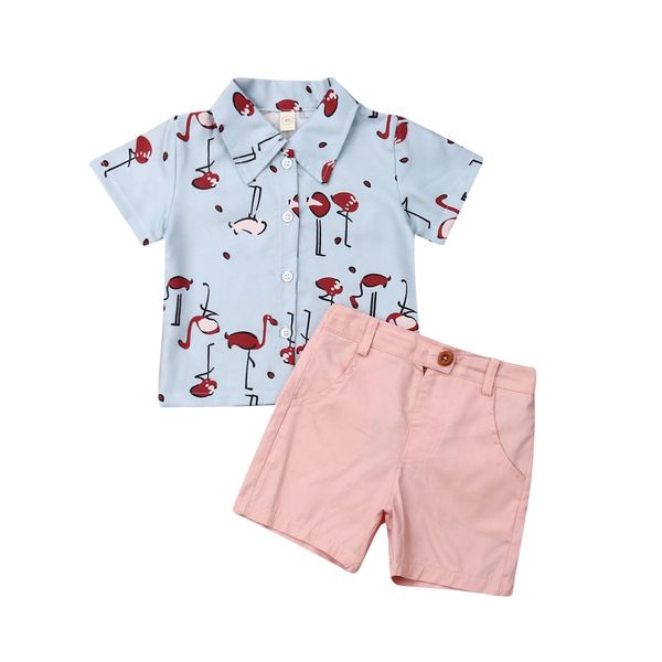 

новый малыш дети мальчики одежда джентльмены мультфильм фламинго печати рубашка футболка топы брюки шорты костюмы летние костюмы, White