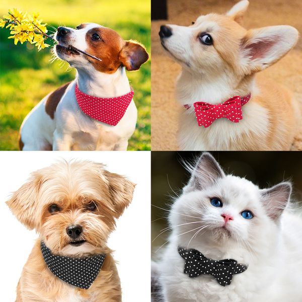 

small leather dog collar bandana dog walking leash cute dot bow cat collars lead leash for small medium dogs cats whippet chihuahua