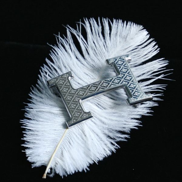 

smooth plaid buckle pattern h leather head men 304 stainless steel crocodile belt belt pattern inside buckle, Slivery;black