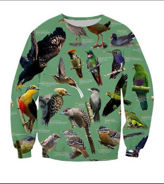 

2020 fashion sweatshirt parrot funny 3d print crewneck sweatshirt mens women style pullovers wy029, Black