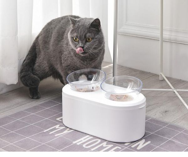 2020 Food Range Ps Dog Cat Bowl Automatic Feeders Waterers Food