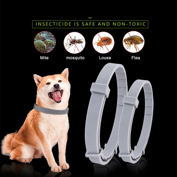 

2019 removes flea and tick collar dogs cats pet flea tick collar anti-mosquito insect repellent deworming collars up to 8 month