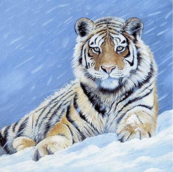 

Full Square/Round Drill 5D DIY Diamond Painting kits "tiger" cross stitch Mosaic Home Decor crafts Art Experience toys Gift A0754