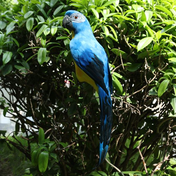 

синий красный птичье перо реалистичный домашний сад декор орнамент попугай птица bosity