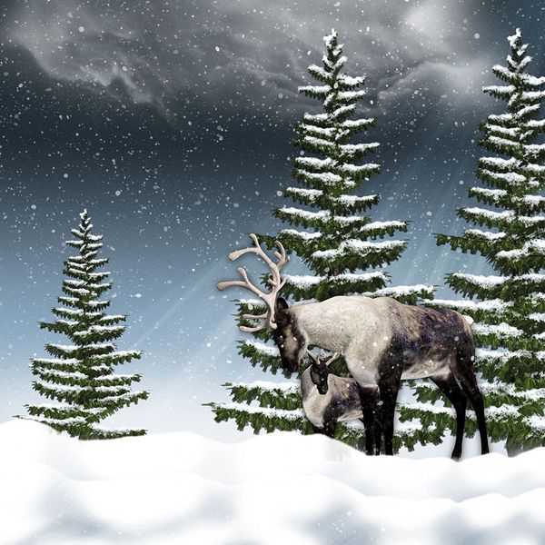 

1-089#"animal reindeer and calf" framed & unframed home decor handcrafts /hd print oil painting on canvas wall art canvas picture