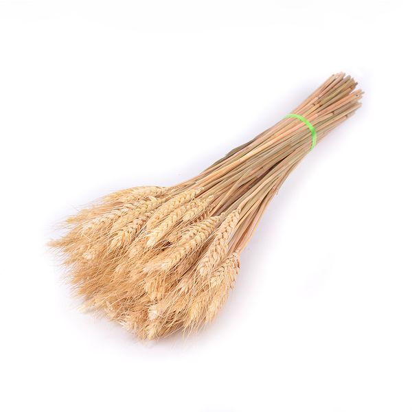 

50pcs/lot garden dried flowers wedding decoration party wheat ears home branch natural diy shooting props bouquet ornament