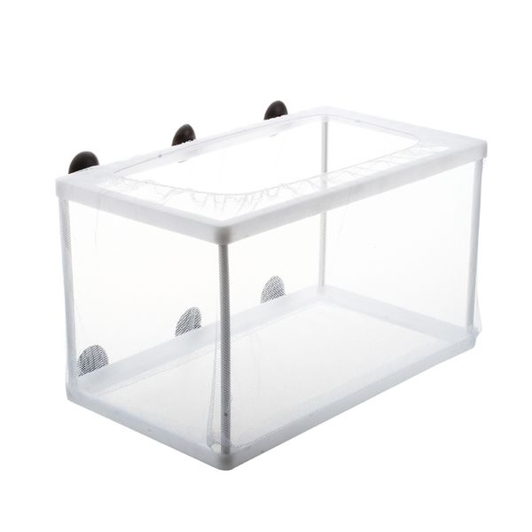 

fish tank plastic frame white net fry hatchery breeder with suction cups other aquarium fish