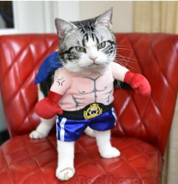 

забавна обака кока ком бокеѬ коплей ком одежда дл домани живон