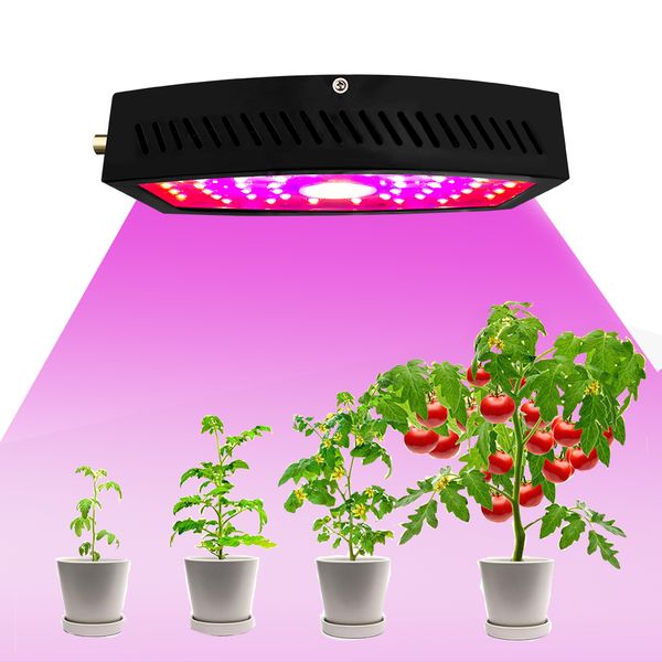 

двойной обломок 1100w, спектр света роста сид полный, чернота, соответствующая для культивирования овоща/цветка гидропонного, уникально рако