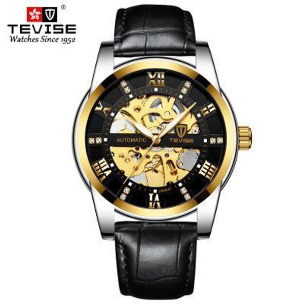 

tevise fashion brand mens automatic watches men leather strap skeleton mechanical wristwatch relogio masculino, Slivery;brown