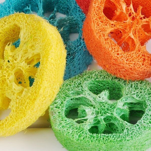 

20pcs natural plant loofah molars chews pet toys 2 packs pet molar toys loofah parrot nibbles toy pieces dog training obedience