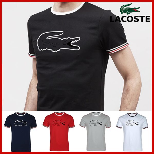 

Camisetas zz982