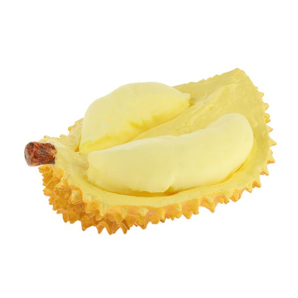 

lifelike decorative durian sample display high simulation fruits, kitchen, office and pgraphy props