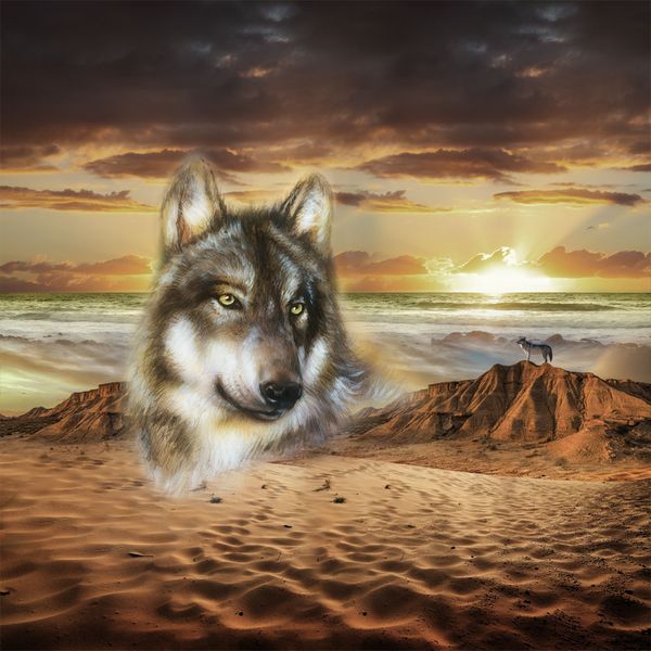 

3d animal desert wolf bedding set bedlinen set duvet cover 100%cotton bedding sets home textiles children's gift
