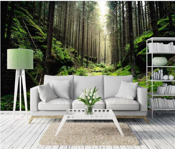 

wall mural p wallpaper forest trees sunlight through american 3d modern background wall painting
