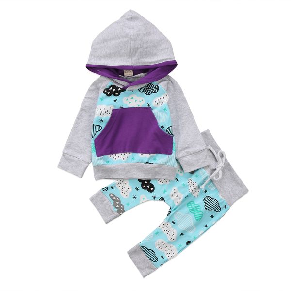 

2pcs baby clothing sets infant baby boy girls floral hooded pants leggings outfit set clothes 0-24m, Pink;blue